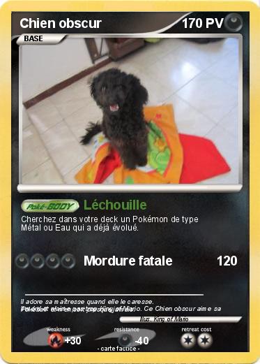 Pokemon Chien obscur