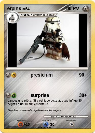 Pokemon erpins