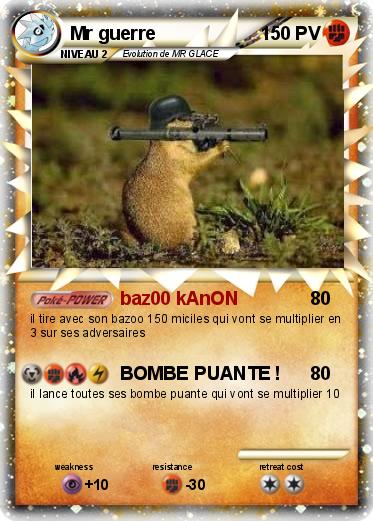 Pokemon Mr guerre