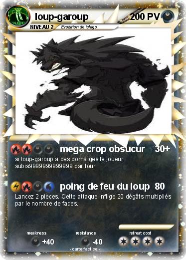 Pokemon loup-garoup