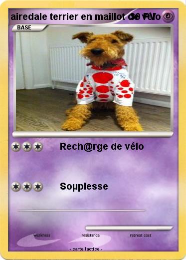 Pokemon airedale terrier en maillot de vélo