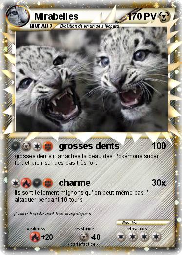 Pokemon Mirabelles