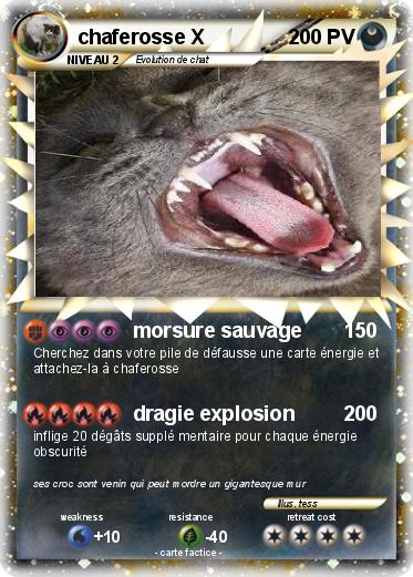 Pokemon chaferosse X