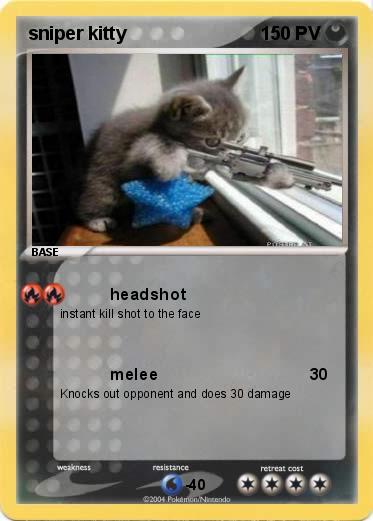 Pokemon sniper kitty