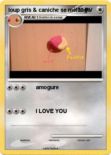 Pokemon loup gris & caniche se mélange