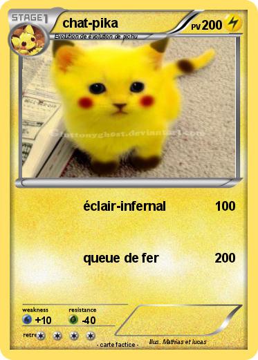 Pokemon chat-pika