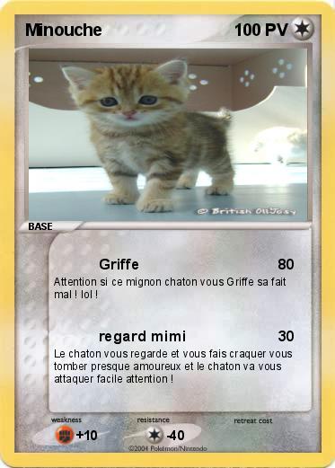 Pokemon Minouche