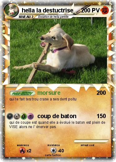 Pokemon hella la destuctrise