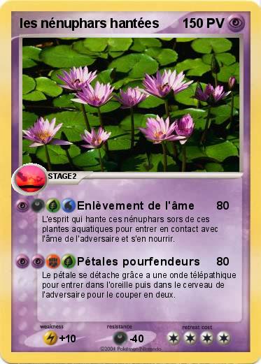 Pokemon les nénuphars hantées
