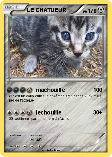 Pokemon LE CHATUEUR