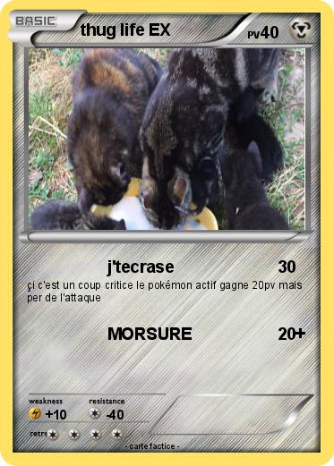 Pokemon thug life EX