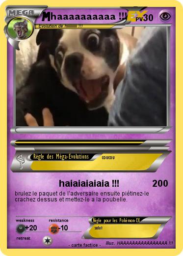 Pokemon haaaaaaaaaa !!!