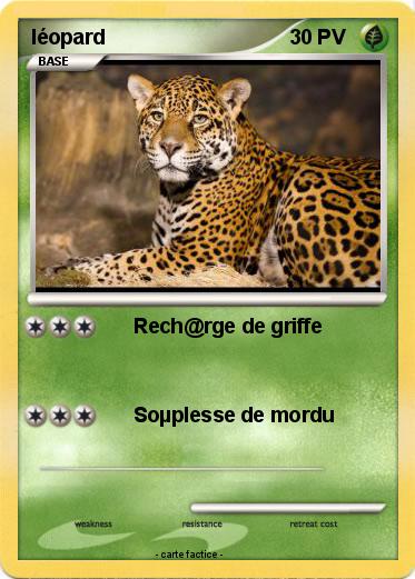 Pokemon léopard