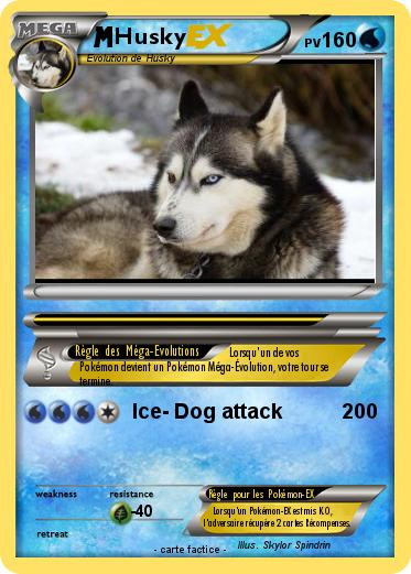 Pokemon Husky