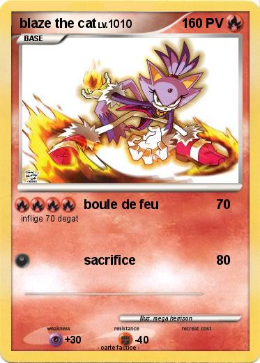 Pokemon blaze the cat