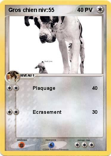 Pokemon Gros chien niv:55