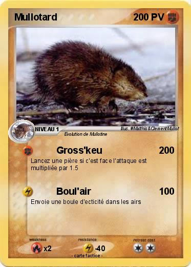 Pokemon Mullotard