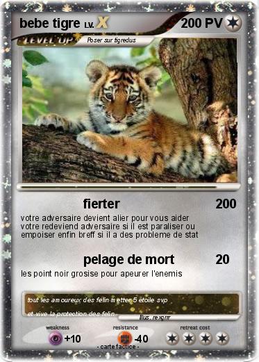 Pokemon bebe tigre