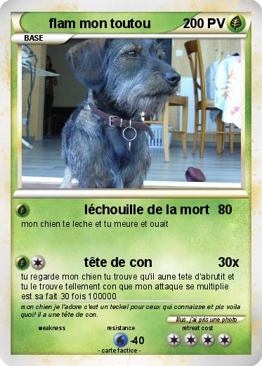 Pokemon flam mon toutou