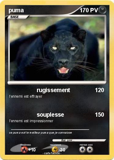Pokemon puma