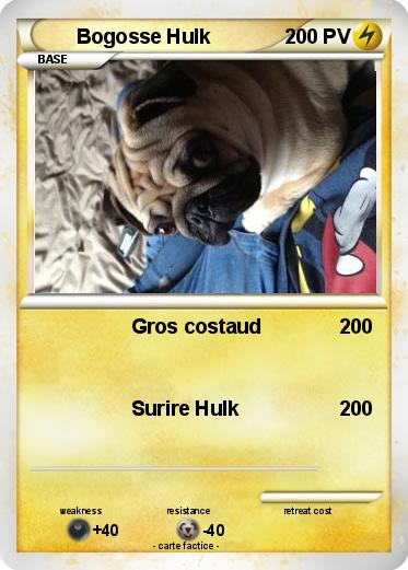 Pokemon Bogosse Hulk