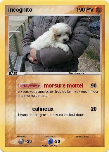 Pokemon incognito