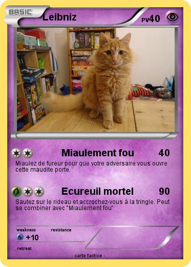 Pokemon Leibniz