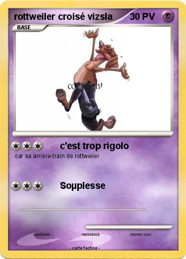 Pokemon rottweiler croisé vizsla