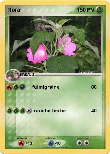 Pokemon flora