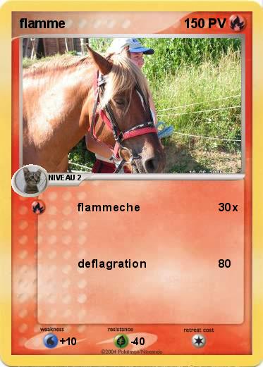 Pokemon flamme