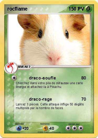 Pokemon rocflame