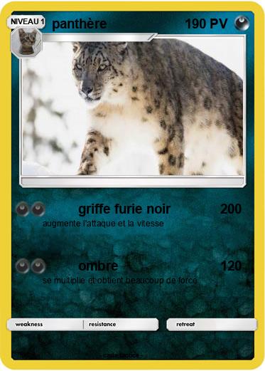 Pokemon panthère