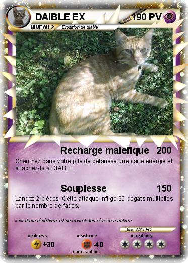 Pokemon DAIBLE EX