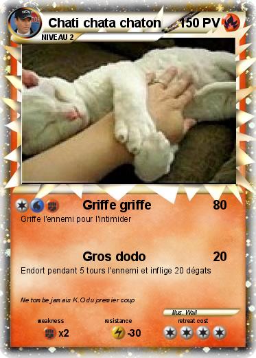 Pokemon Chati chata chaton
