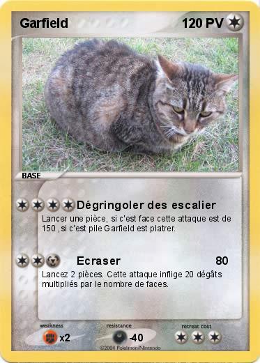 Pokemon Garfield