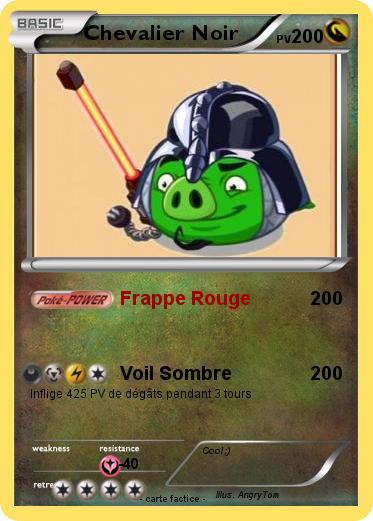 Pokemon Chevalier Noir