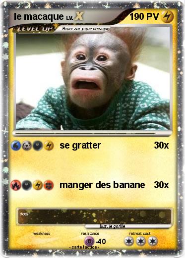 Pokemon le macaque