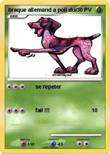 Pokemon braque allemand a poil dur