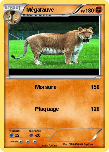 Pokemon Mégafauve