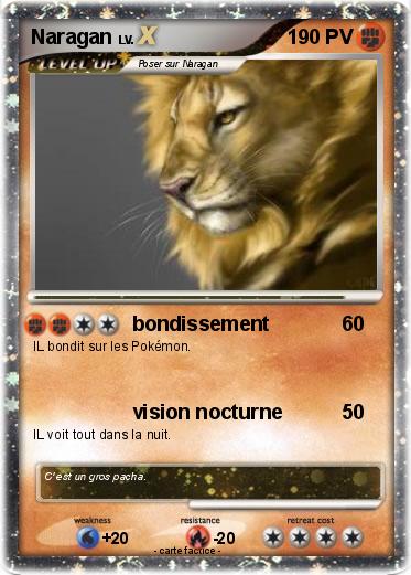 Pokemon Naragan