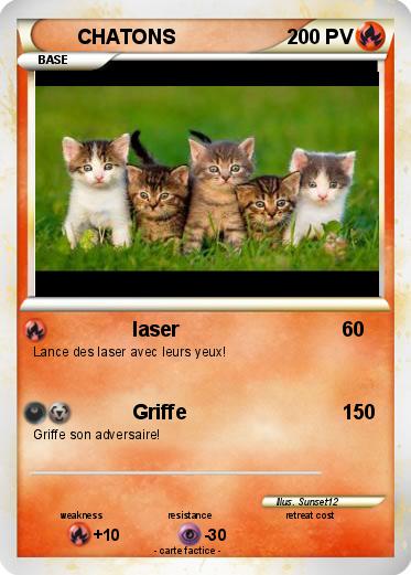 Pokemon CHATONS