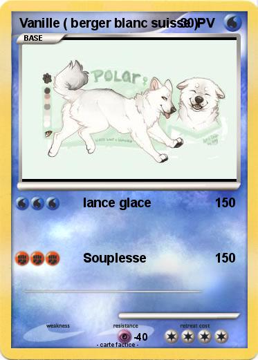 Pokemon Vanille ( berger blanc suisse )
