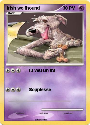 Pokemon irish wolfhound