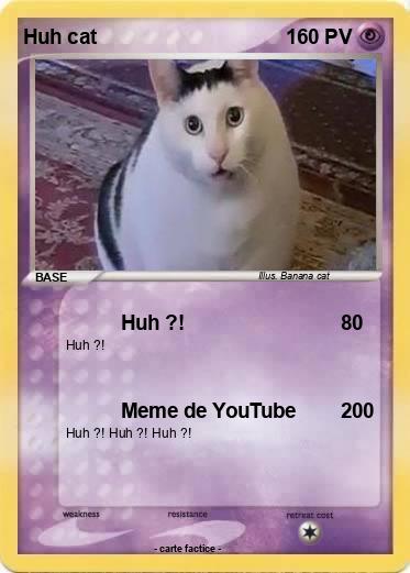 Pokemon Huh cat
