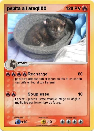 Pokemon pepita a l ataq!!!!!!