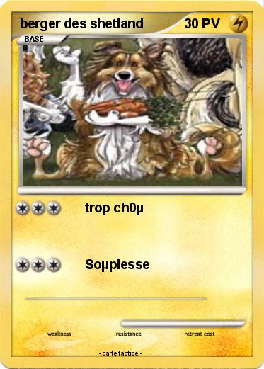 Pokemon berger des shetland