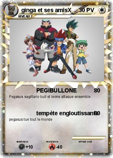 Pokemon ginga et ses amisX