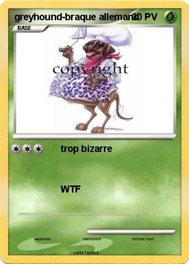 Pokemon greyhound-braque allemand