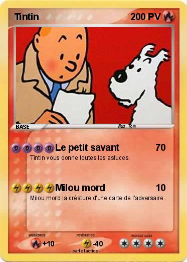 Pokemon Tintin