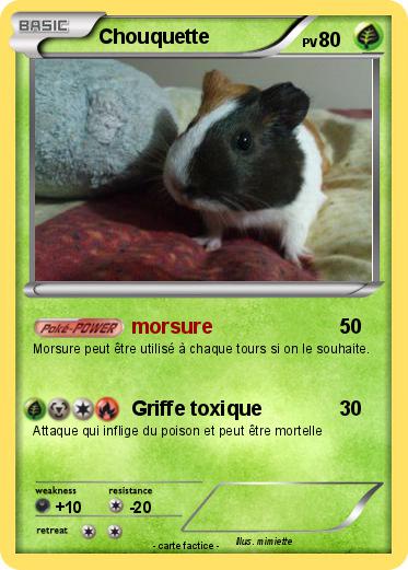 Pokemon Chouquette